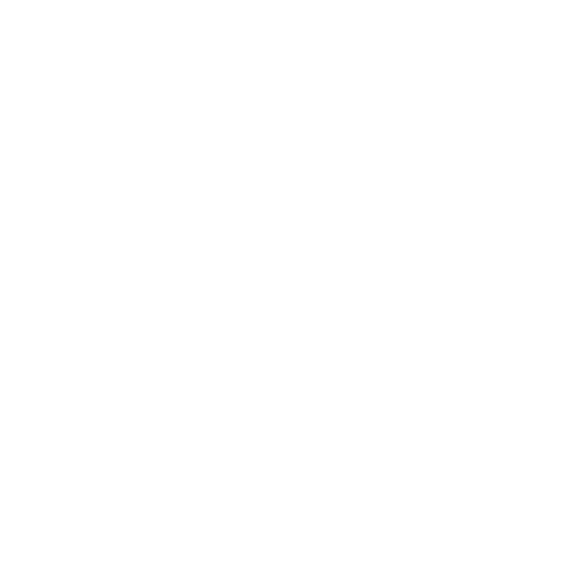 Page Logo